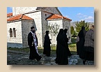P1010299 (Medium)